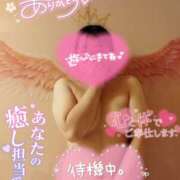 ヒメ日記 2025/07/31 15:22 投稿 ハイビスカス 飾窓