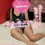 ヒメ日記 2025/08/01 17:19 投稿 ハイビスカス 飾窓