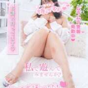 ヒメ日記 2025/08/02 17:22 投稿 ハイビスカス 飾窓