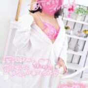 ヒメ日記 2025/08/08 15:04 投稿 ハイビスカス 飾窓