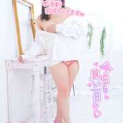 ヒメ日記 2025/08/08 21:40 投稿 ハイビスカス 飾窓