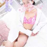 ヒメ日記 2025/08/19 13:37 投稿 ハイビスカス 飾窓