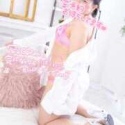 ヒメ日記 2025/08/20 18:08 投稿 ハイビスカス 飾窓