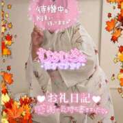 ヒメ日記 2025/08/24 19:43 投稿 ハイビスカス 飾窓