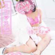 ヒメ日記 2025/09/02 18:04 投稿 ハイビスカス 飾窓