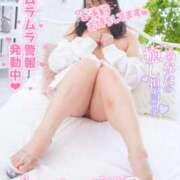 ヒメ日記 2025/09/08 21:09 投稿 ハイビスカス 飾窓