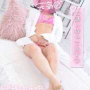 ヒメ日記 2025/09/12 22:01 投稿 ハイビスカス 飾窓