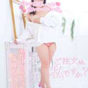 ヒメ日記 2025/09/15 20:53 投稿 ハイビスカス 飾窓