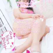 ヒメ日記 2025/09/24 19:34 投稿 ハイビスカス 飾窓