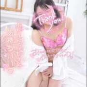 ヒメ日記 2025/09/24 21:34 投稿 ハイビスカス 飾窓