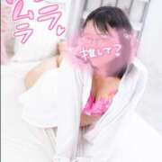 ヒメ日記 2025/10/08 20:18 投稿 ハイビスカス 飾窓