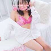 ヒメ日記 2025/10/10 11:33 投稿 ハイビスカス 飾窓