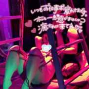 ヒメ日記 2025/10/11 16:53 投稿 ハイビスカス 飾窓