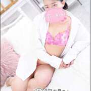 ヒメ日記 2025/10/11 21:21 投稿 ハイビスカス 飾窓