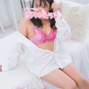 ヒメ日記 2025/10/13 15:04 投稿 ハイビスカス 飾窓