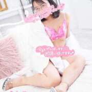 ヒメ日記 2025/10/15 15:32 投稿 ハイビスカス 飾窓