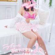 ヒメ日記 2025/10/16 19:14 投稿 ハイビスカス 飾窓