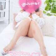 ヒメ日記 2025/10/19 14:30 投稿 ハイビスカス 飾窓