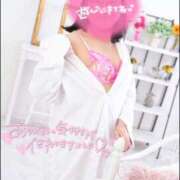 ヒメ日記 2025/10/20 17:19 投稿 ハイビスカス 飾窓