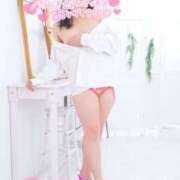 ヒメ日記 2025/10/21 18:39 投稿 ハイビスカス 飾窓