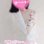 ヒメ日記 2025/10/22 21:39 投稿 ハイビスカス 飾窓