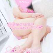 ヒメ日記 2025/10/23 18:50 投稿 ハイビスカス 飾窓