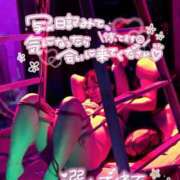 ヒメ日記 2025/10/23 21:13 投稿 ハイビスカス 飾窓