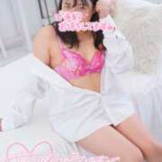 ヒメ日記 2025/10/28 20:33 投稿 ハイビスカス 飾窓