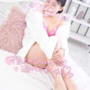 ヒメ日記 2025/10/29 19:47 投稿 ハイビスカス 飾窓