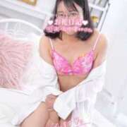 ヒメ日記 2025/11/02 14:34 投稿 ハイビスカス 飾窓