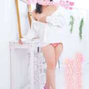 ヒメ日記 2025/11/03 14:05 投稿 ハイビスカス 飾窓