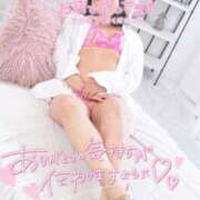 ヒメ日記 2025/11/07 14:14 投稿 ハイビスカス 飾窓