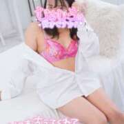 ヒメ日記 2025/11/08 13:31 投稿 ハイビスカス 飾窓