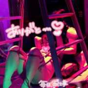 ヒメ日記 2025/11/08 21:49 投稿 ハイビスカス 飾窓