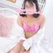 ヒメ日記 2025/11/09 13:26 投稿 ハイビスカス 飾窓