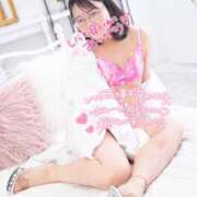 ヒメ日記 2025/11/14 14:50 投稿 ハイビスカス 飾窓