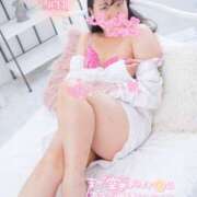 ヒメ日記 2025/11/15 19:08 投稿 ハイビスカス 飾窓