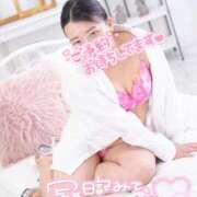 ヒメ日記 2025/11/22 18:53 投稿 ハイビスカス 飾窓