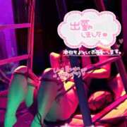 ヒメ日記 2025/11/23 14:21 投稿 ハイビスカス 飾窓