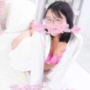 ヒメ日記 2025/11/24 13:54 投稿 ハイビスカス 飾窓