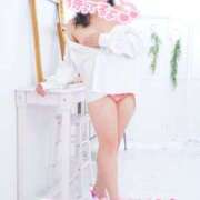 ヒメ日記 2025/11/25 19:48 投稿 ハイビスカス 飾窓