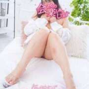 ヒメ日記 2025/11/28 21:13 投稿 ハイビスカス 飾窓