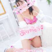 ヒメ日記 2025/12/02 19:51 投稿 ハイビスカス 飾窓