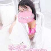 ヒメ日記 2025/12/03 13:40 投稿 ハイビスカス 飾窓