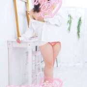 ヒメ日記 2025/12/03 20:03 投稿 ハイビスカス 飾窓