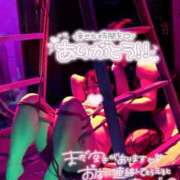 ヒメ日記 2025/12/10 19:28 投稿 ハイビスカス 飾窓