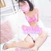 ヒメ日記 2025/12/11 21:06 投稿 ハイビスカス 飾窓