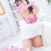 ヒメ日記 2025/12/12 21:04 投稿 ハイビスカス 飾窓