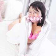 ヒメ日記 2025/12/13 13:35 投稿 ハイビスカス 飾窓