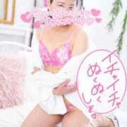 ヒメ日記 2025/12/14 12:59 投稿 ハイビスカス 飾窓